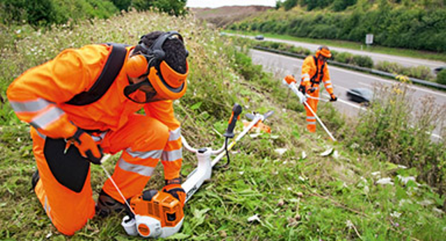 Ordinanza PREVENZIONE INCENDI e DECORO URBANO